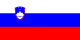 Flag of SI